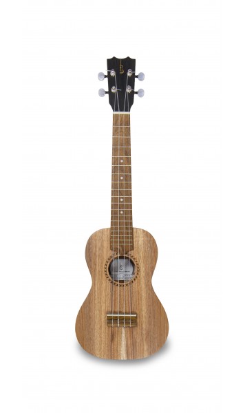 APC CS Concerto Simples